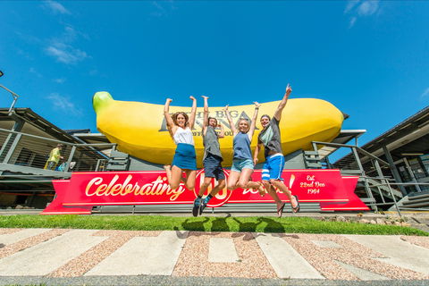 The Big Banana Fun Park - Accommodation ACT 0