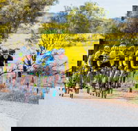 The Heron's Highway - Avon River Cycle Trail - Accommodation ACT