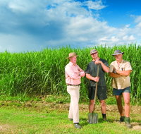 The Shed Gallery - Accommodation ACT