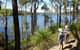 Wellington Discovery Forest - thumb 0