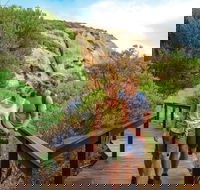 Woody Island Nature Reserve - Accommodation ACT