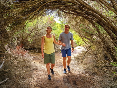 Woody Island Nature Reserve - Accommodation ACT 1