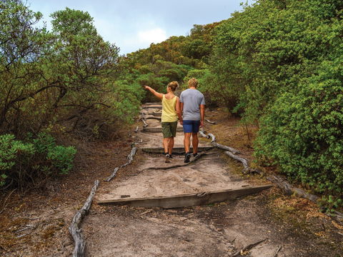 Woody Island Nature Reserve - Accommodation ACT 2