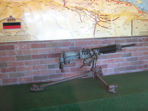 Woodpecker Gun - Accommodation ACT 0