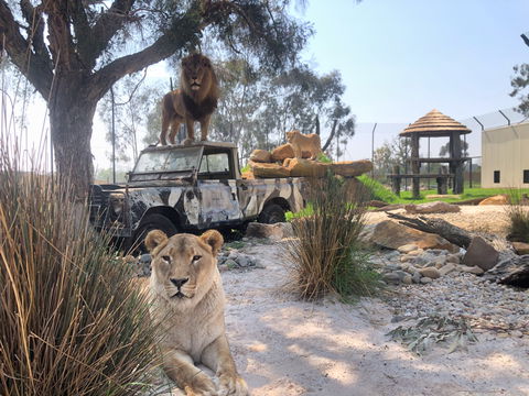 Zambi Wildlife Retreat - Accommodation ACT 0