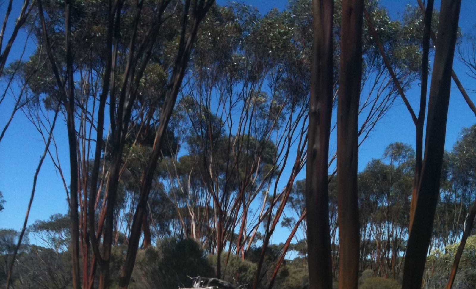 Boorabbin WA Accommodation ACT