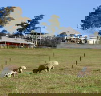 Calmsley Hill City Farm - Accommodation ACT