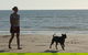 Casuarina Coastal Reserve - thumb 2
