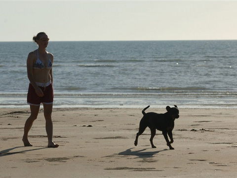 Casuarina Coastal Reserve - Accommodation ACT 2