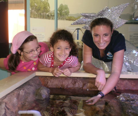 Central Coast Marine Discovery Centre - Accommodation ACT 0