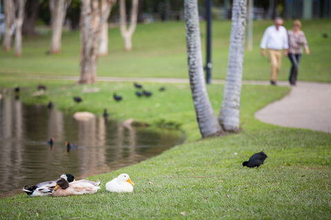 Centenary Lakes Park - Accommodation ACT 2