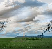 Clare Valley - Accommodation ACT