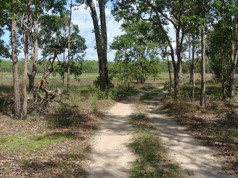 Djukbinj National Park - Accommodation ACT 0