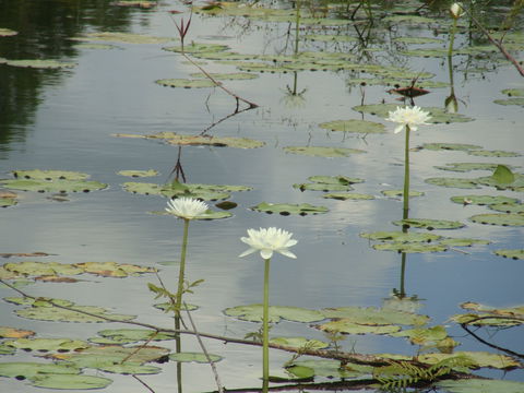 Djukbinj National Park - Accommodation ACT 1