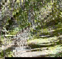 Euglah Rock Walking Track - Accommodation ACT