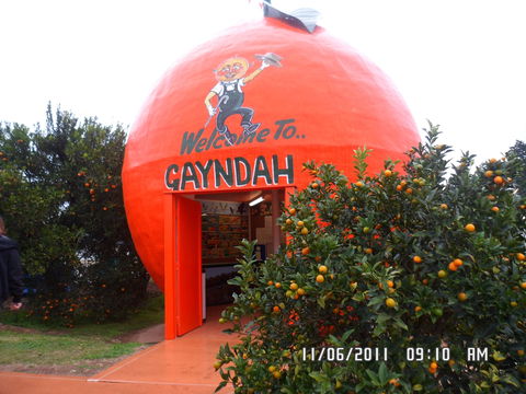Gayndah's Big Orange - Accommodation ACT 2