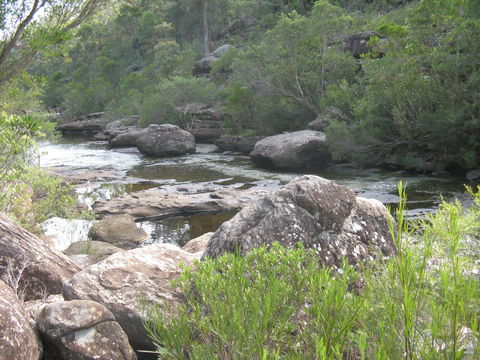 Georges River Nature Reserve - Accommodation ACT 1