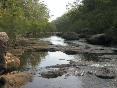 Georges River Nature Reserve - Accommodation ACT 2