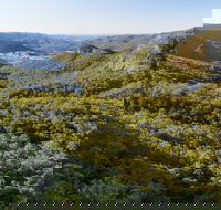 Gold Coast Hinterland Great Walk - Accommodation ACT