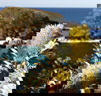 Green Island Walking Track - Accommodation ACT