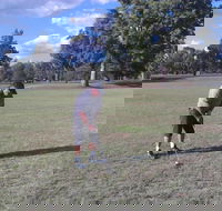 Inverell Golf Club - Accommodation ACT