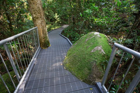 Josephine Falls Walking Track, Wooroonooran National Park - Accommodation ACT 2