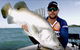 Keppel Bay Fishing Adventure - thumb 1