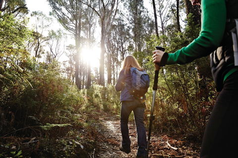 Kinglake National Park - Accommodation ACT 0