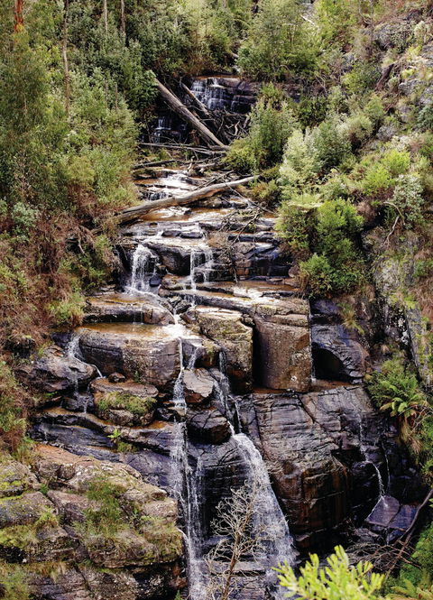 Kinglake National Park - Accommodation ACT 1