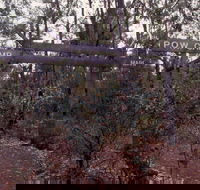 Marrinup Trail Dwellingup - Accommodation ACT