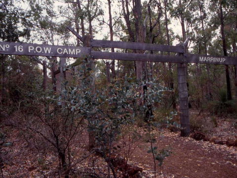 Marrinup Trail, Dwellingup - Accommodation ACT 0