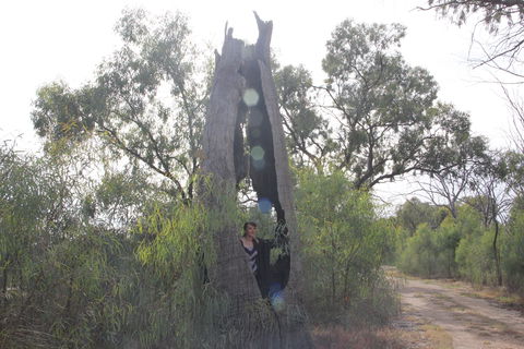 Martin Bend Wetland And Walking Trail - Accommodation ACT 1