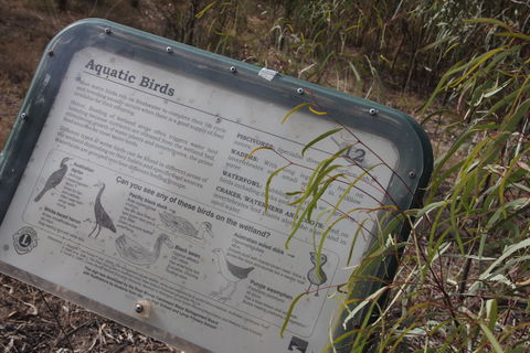 Martin Bend Wetland And Walking Trail - Accommodation ACT 2