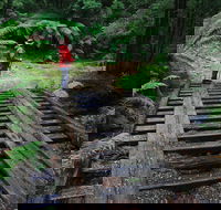 Montezuma Falls - Accommodation ACT