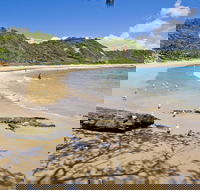 Nambucca Heads Beaches - Accommodation ACT