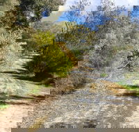 Naracoorte North Nature Park - Accommodation ACT