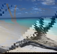 North West Island - Accommodation ACT