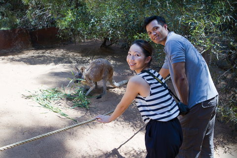 Perth Zoo - Accommodation ACT 2