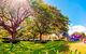 Pioneer Park And Ross River - thumb 1