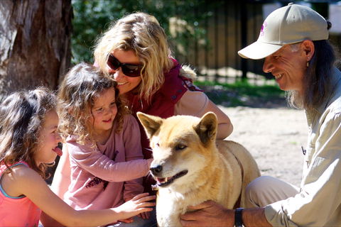 Potoroo Palace Native Animal Sanctuary - Accommodation ACT 0