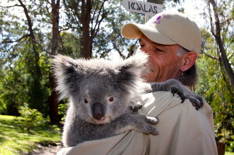 Potoroo Palace Native Animal Sanctuary - Accommodation ACT 2