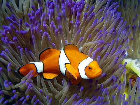 Reef HQ Aquarium - Accommodation ACT 1
