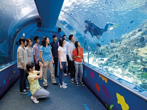 Reef HQ Aquarium - Accommodation ACT 2