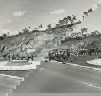 Rockhampton Bull Statues - Accommodation ACT