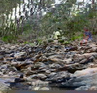 Rocksberg Park Heritage Reserve - Accommodation ACT