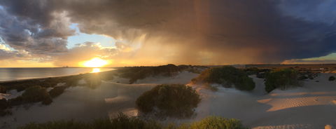 Shelly Beach Dune Walk Trail - Accommodation ACT 2
