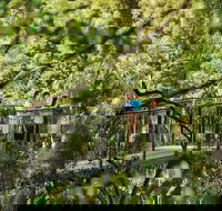 Tamborine Mountain - Accommodation ACT