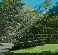 Terania Creek Picnic Area - Accommodation ACT