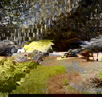 The Pines Picnic Area - Accommodation ACT