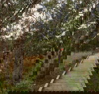 The Briars Park Walking Trails - Accommodation ACT